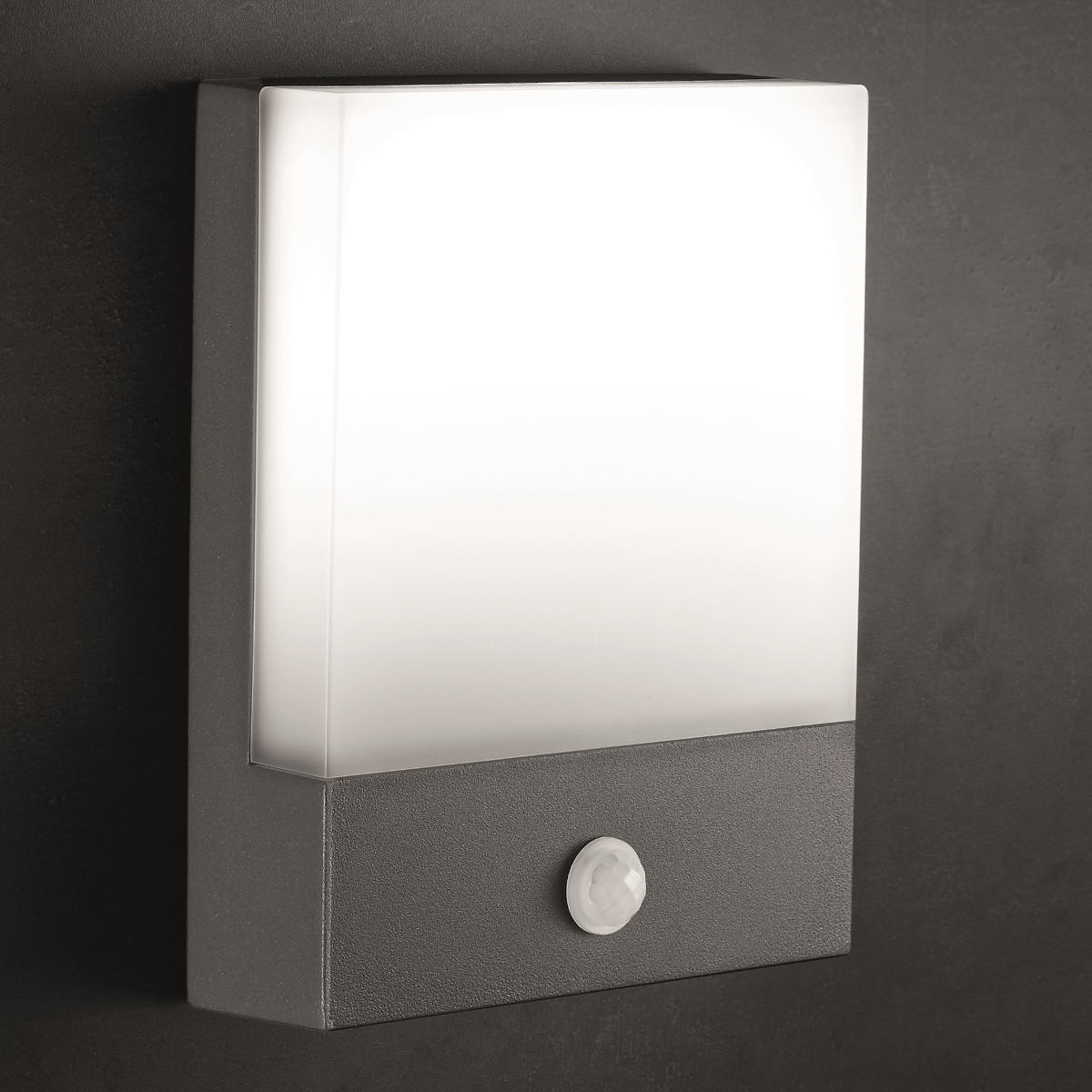 Modern Rectangular LED Wall Light Tetra - Terra Lumi