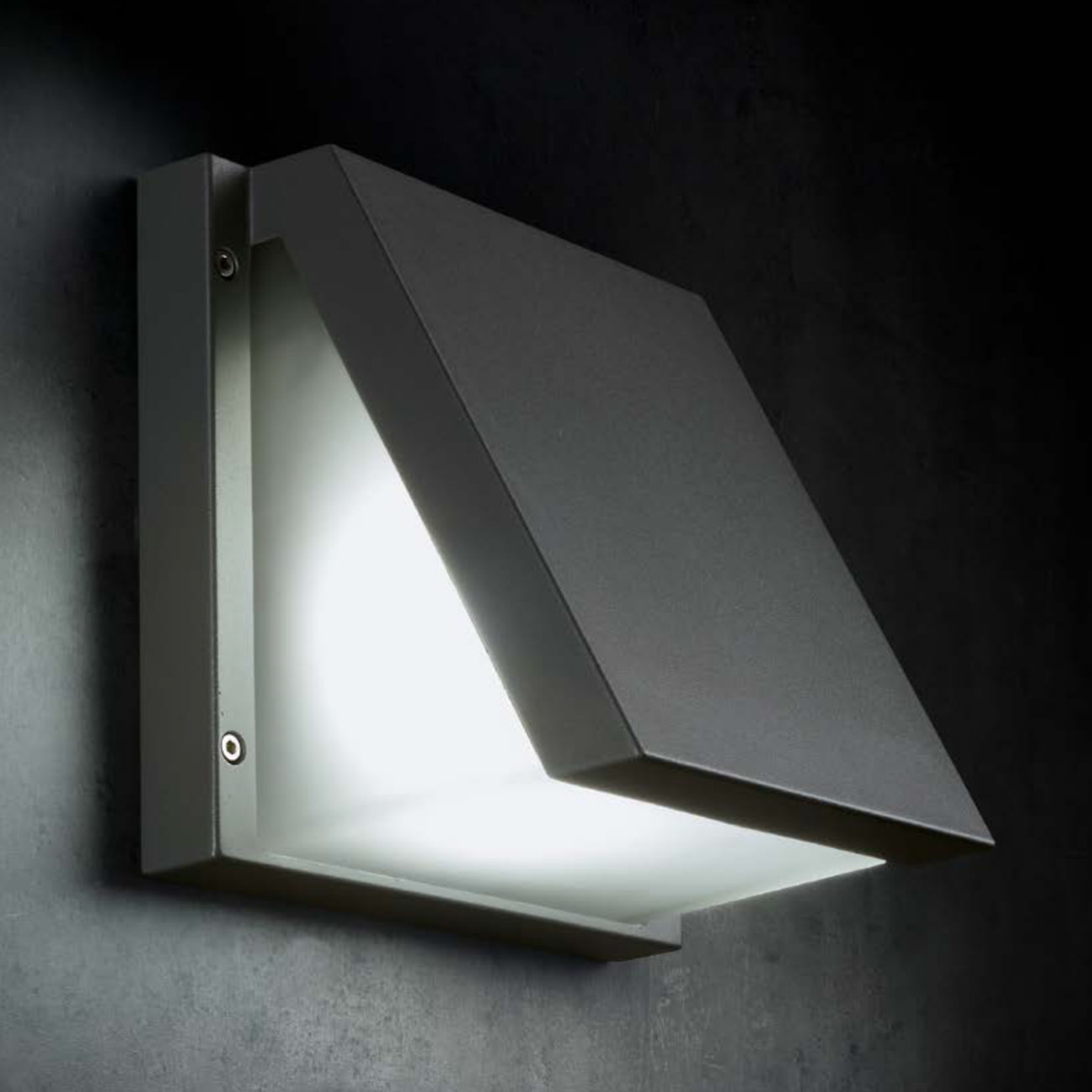 LED Wall Spotlight Anthracite