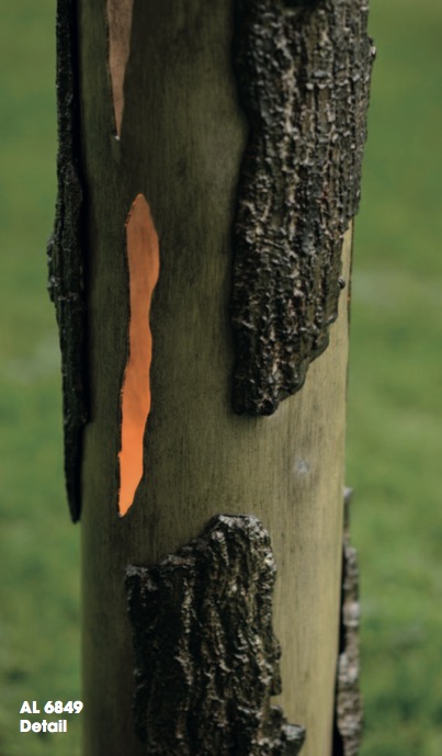 Baumstamm-Pollerleuchte aus Schmiedeeisen AL 6849, Bild 3 Baumstamm-Pollerleuchte aus Schmiedeeisen AL 6849, Bild 3