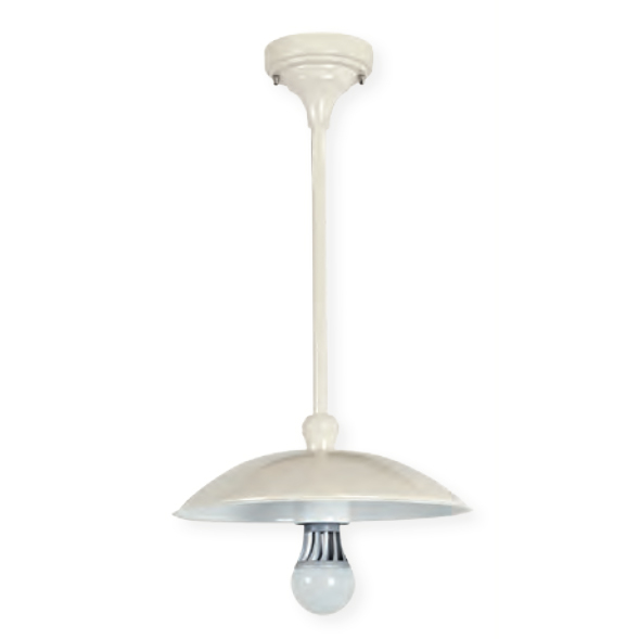 Ceiling Light for Outdoor Use with Plate Shade