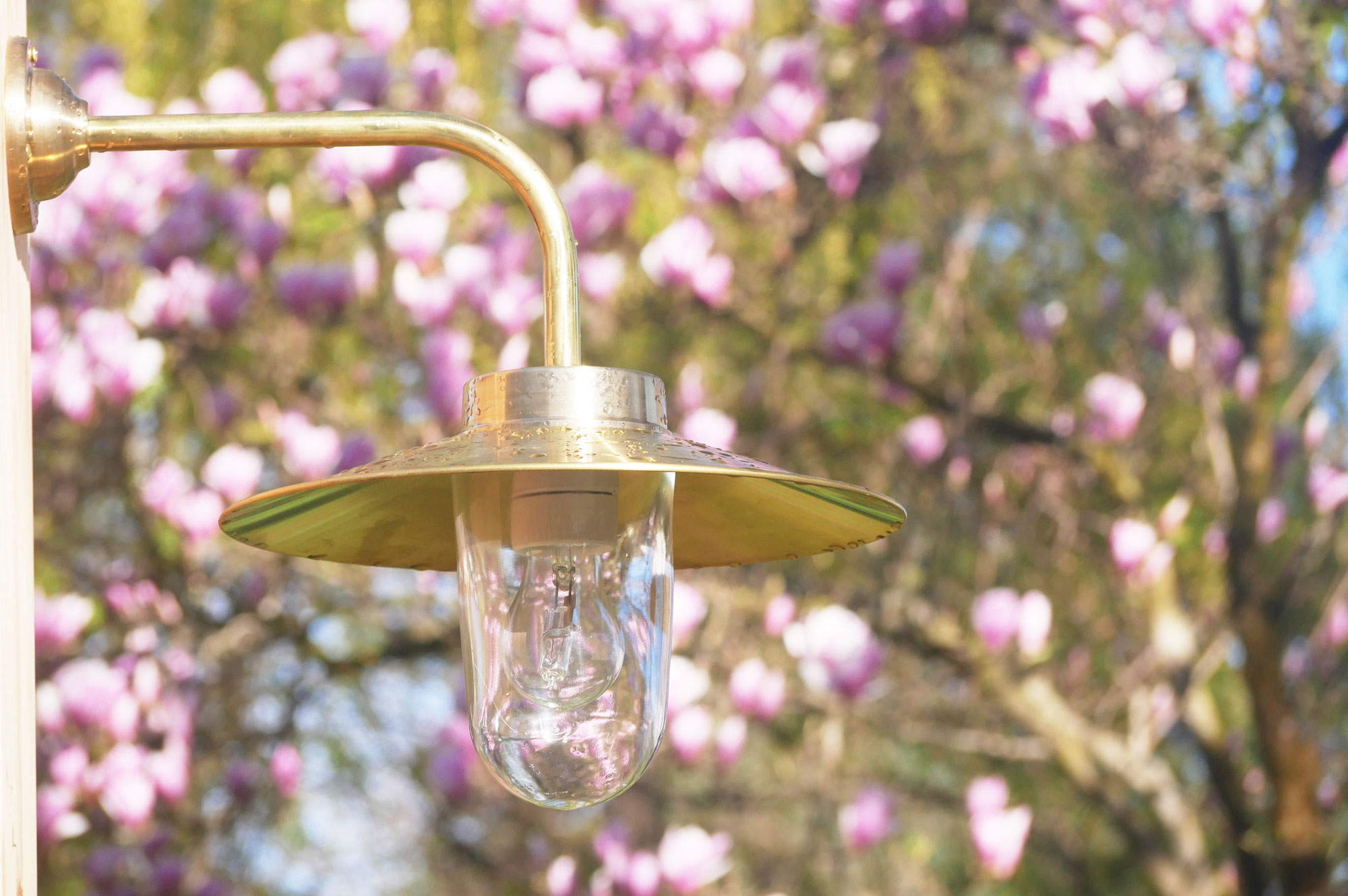 Bild 15: Außenlampe aus Messing mit Schirm 38-90 BR; hier in Messing poliert mit klarem Zylinderglas Außenlampe aus Messing mit Schirm 38-90 BR: Außenlampe aus Messing mit Schirm 38-90 BR; hier in Messing poliert mit klarem Zylinderglas