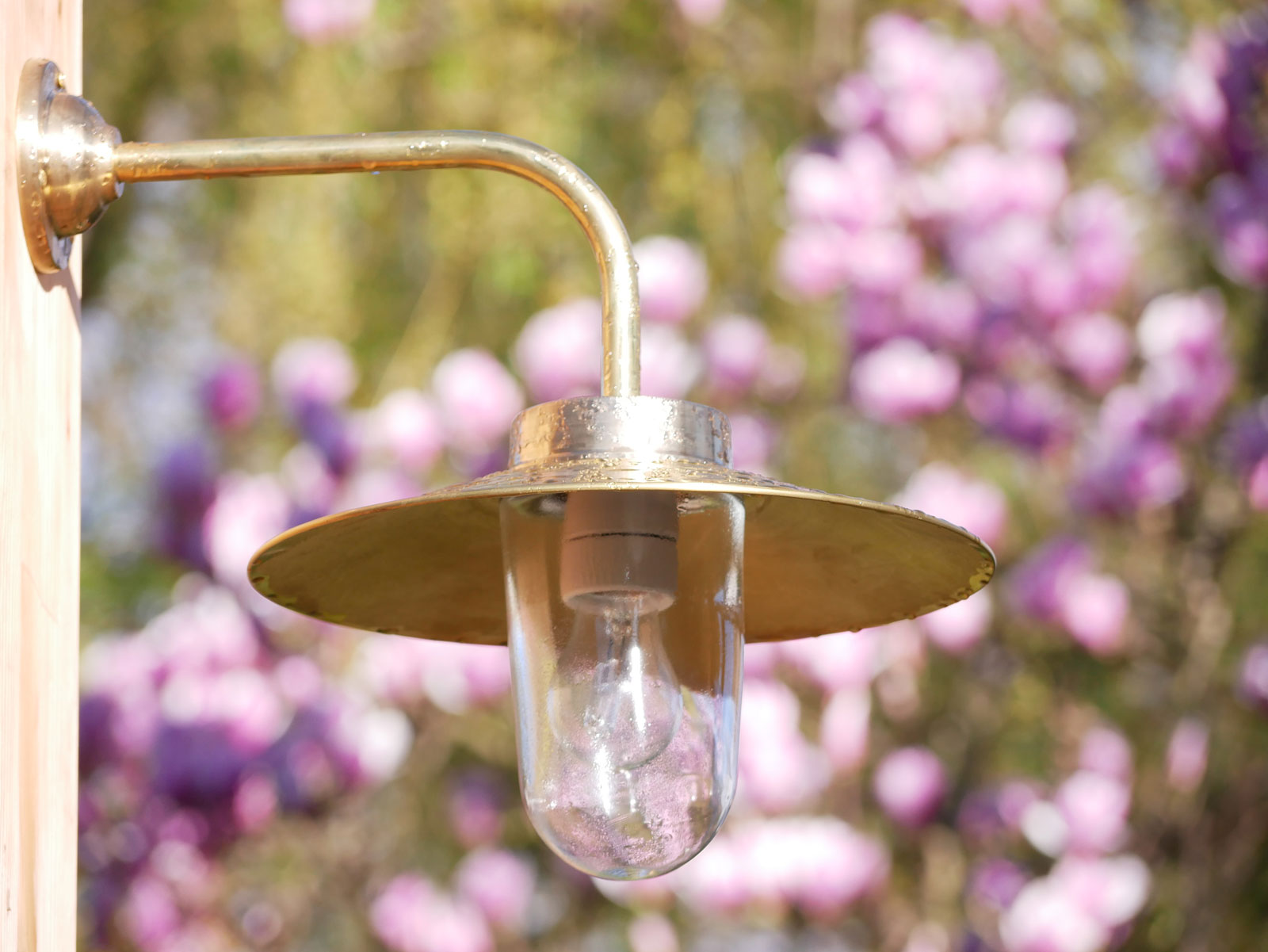 Bild 10: Außenlampe aus Messing mit Schirm 38-90 BR; hier in Messing poliert mit klarem Zylinderglas Außenlampe aus Messing mit Schirm 38-90 BR: Außenlampe aus Messing mit Schirm 38-90 BR; hier in Messing poliert mit klarem Zylinderglas