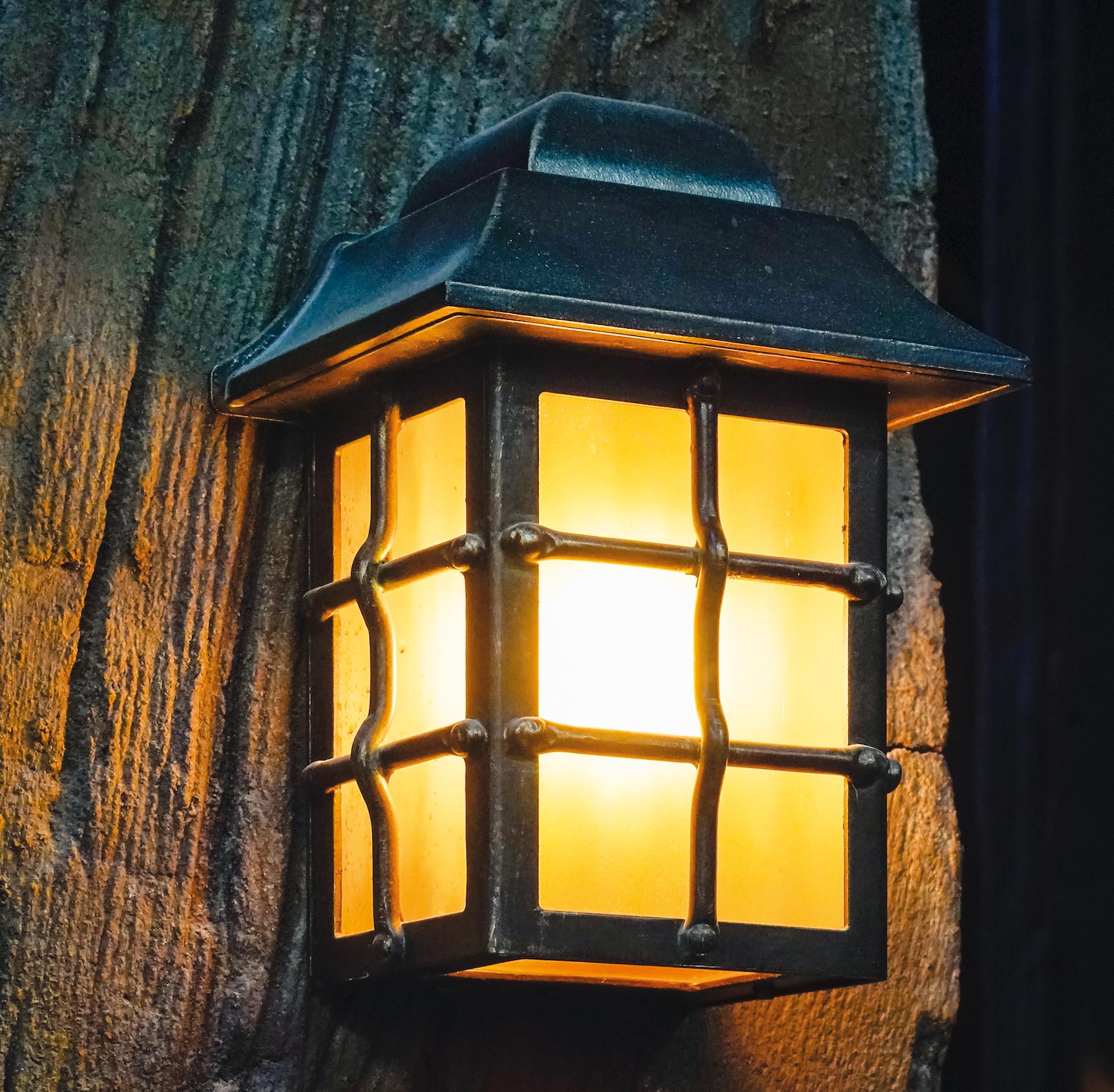 Rustic Flush Mount Outdoor Wall Lantern with Antique Glass 3631, Fig. 3