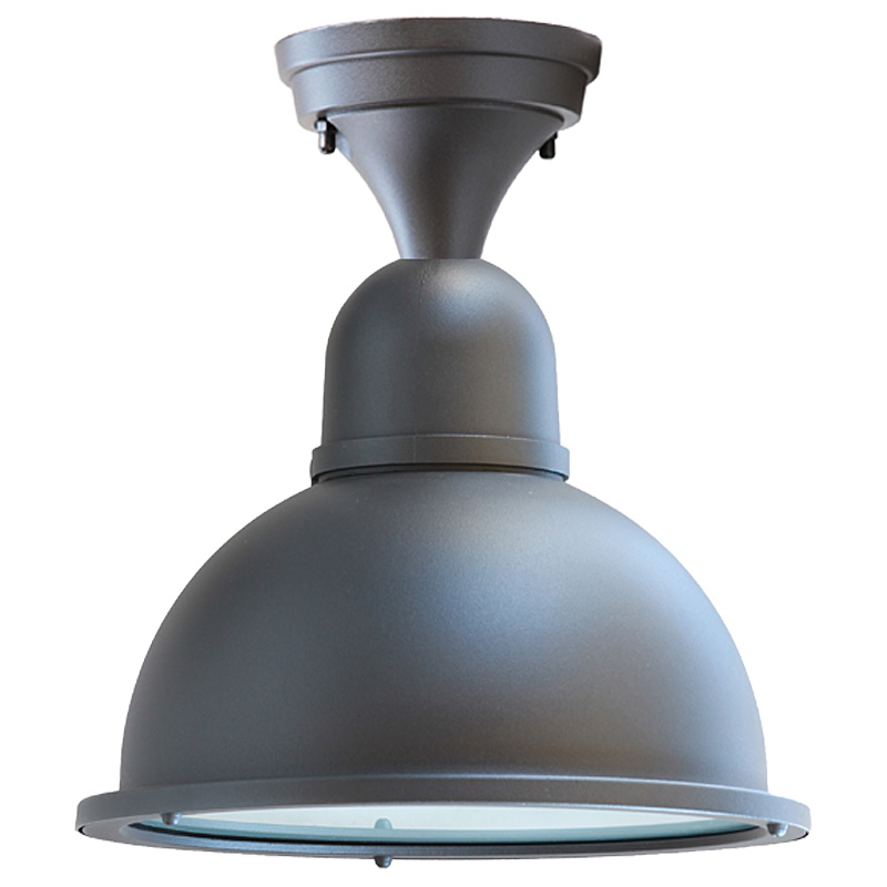 Industrial Style Ceiling Light